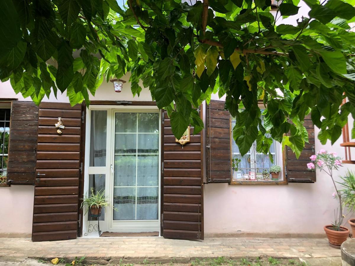 مبيت وإفطار غوريزيا La Casa Nel Bosco المظهر الخارجي الصورة